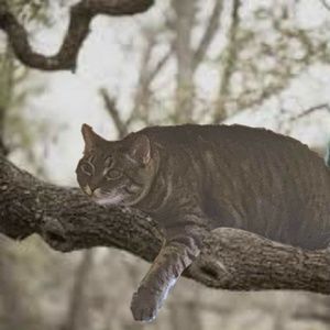 Meet your Posher, Judith